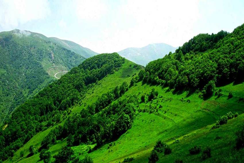 جنگل‌های بانه از جاذبه های طبیعی کردستان