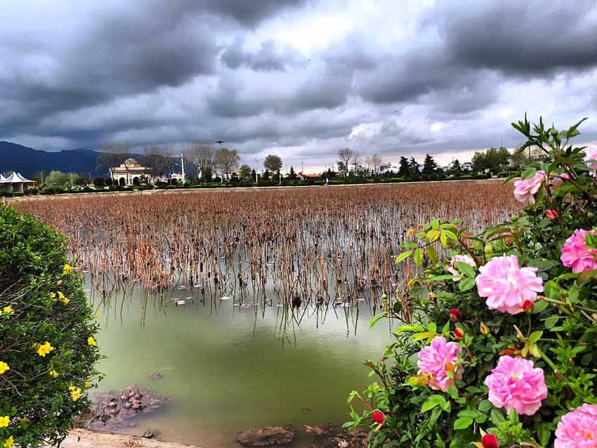 kiyakolaye_wetland_northern_Iran_Gilan.jpg